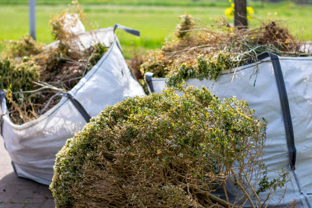 Full-Service Junk Removal in Wailua Homesteads, HI